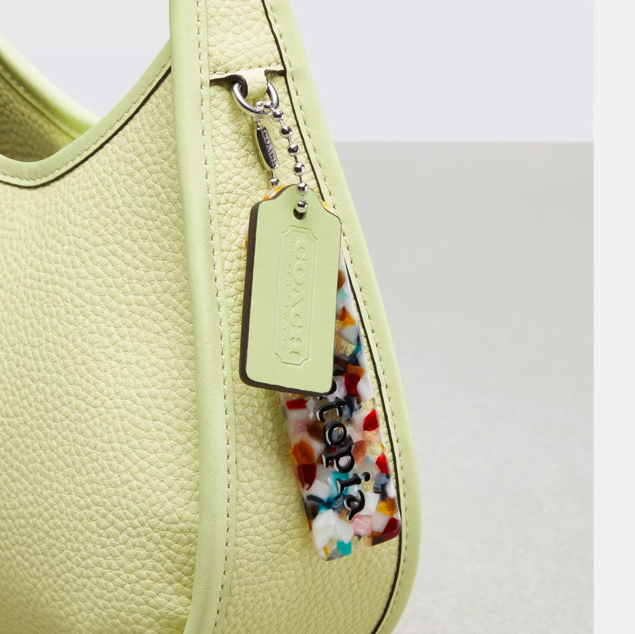 Coach エルゴ バッグ (コーチトピア レザー)